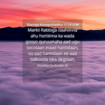 Picture 04 - Sharciga Kunoqoshadiisa 12:29 SOM - Markii Rabbiga Ilaahiinna ahu hortiinna ka wada - Bible Verse Picture