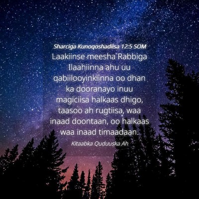 Picture 04 - Sharciga Kunoqoshadiisa 12:5 SOM - Laakiinse meesha Rabbiga Ilaahiinna ahu uu - Bible Verse Picture
