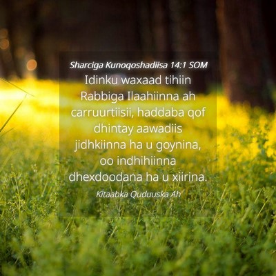 Picture 04 - Sharciga Kunoqoshadiisa 14:1 SOM - Idinku waxaad tihiin Rabbiga Ilaahiinna ah - Bible Verse Picture