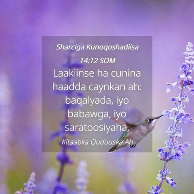 Picture 04 - Sharciga Kunoqoshadiisa 14:12 SOM - Laakiinse ha cunina haadda caynkan ah: baqalyada, - Bible Verse Picture