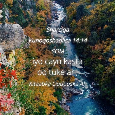 Picture 04 - Sharciga Kunoqoshadiisa 14:14 SOM - iyo cayn kasta oo tuke - Bible Verse Picture