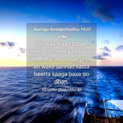 Picture 04 - Sharciga Kunoqoshadiisa 14:22 SOM - Oo waa inaad toban meelood meel ka bixisaa - Bible Verse Picture