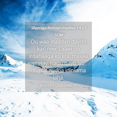Picture 04 - Sharciga Kunoqoshadiisa 14:27 SOM - Oo waa inaadan dayrin kan reer Laawi oo irdahaaga - Bible Verse Picture