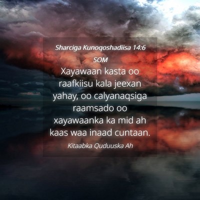 Picture 04 - Sharciga Kunoqoshadiisa 14:6 SOM - Xayawaan kasta oo raafkiisu kala jeexan yahay, oo - Bible Verse Picture