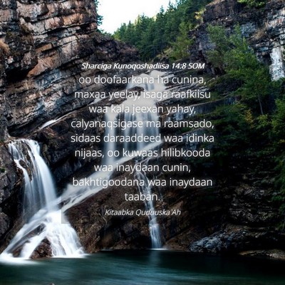 Picture 04 - Sharciga Kunoqoshadiisa 14:8 SOM - oo doofaarkana ha cunina, maxaa yeelay, isaga - Bible Verse Picture