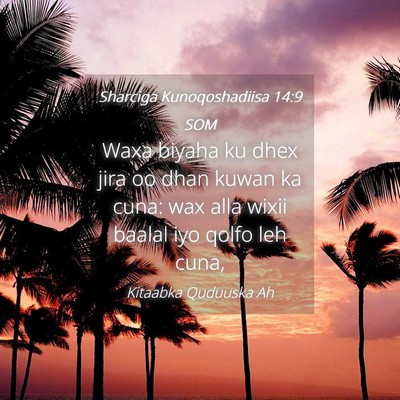 Picture 04 - Sharciga Kunoqoshadiisa 14:9 SOM - Waxa biyaha ku dhex jira oo dhan kuwan ka cuna: - Bible Verse Picture