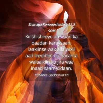 Picture 04 - Sharciga Kunoqoshadiisa 15:3 SOM - Kii shisheeye ah waad ka qaadan karaysaan, - Bible Verse Picture
