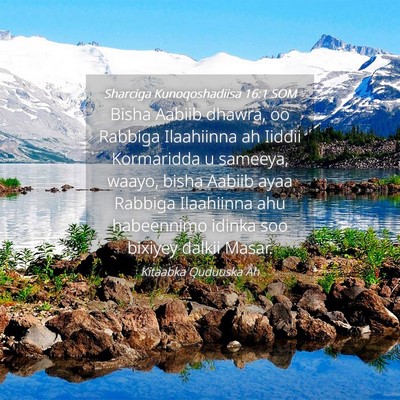 Picture 04 - Sharciga Kunoqoshadiisa 16:1 SOM - Bisha Aabiib dhawra, oo Rabbiga Ilaahiinna ah - Bible Verse Picture