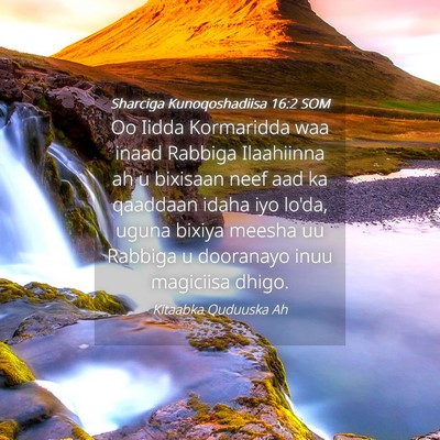 Picture 04 - Sharciga Kunoqoshadiisa 16:2 SOM - Oo Iidda Kormaridda waa inaad Rabbiga Ilaahiinna - Bible Verse Picture