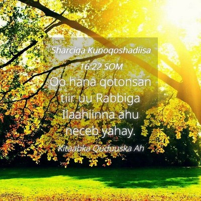 Picture 04 - Sharciga Kunoqoshadiisa 16:22 SOM - Oo hana qotonsan tiir uu Rabbiga Ilaahiinna ahu - Bible Verse Picture