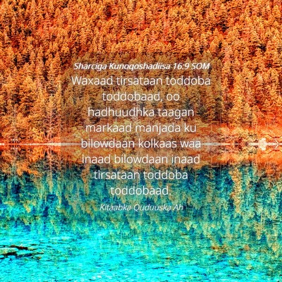 Picture 04 - Sharciga Kunoqoshadiisa 16:9 SOM - Waxaad tirsataan toddoba toddobaad, oo hadhuudhka - Bible Verse Picture