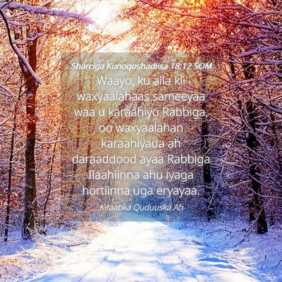Picture 04 - Sharciga Kunoqoshadiisa 18:12 SOM - Waayo, ku alla kii waxyaalahaas sameeyaa waa u - Bible Verse Picture
