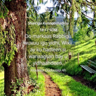Picture 04 - Sharciga Kunoqoshadiisa 18:17 SOM - Oo markaas Rabbigu wuxuu igu yidhi, Wixii ay ku - Bible Verse Picture