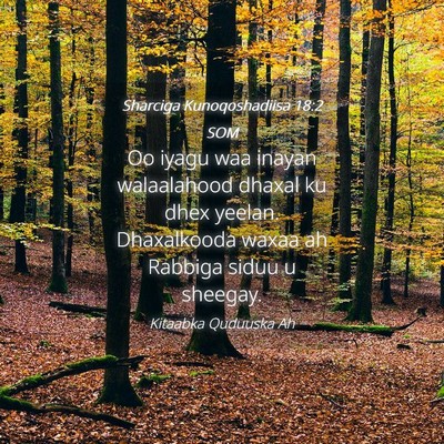 Picture 04 - Sharciga Kunoqoshadiisa 18:2 SOM - Oo iyagu waa inayan walaalahood dhaxal ku dhex - Bible Verse Picture