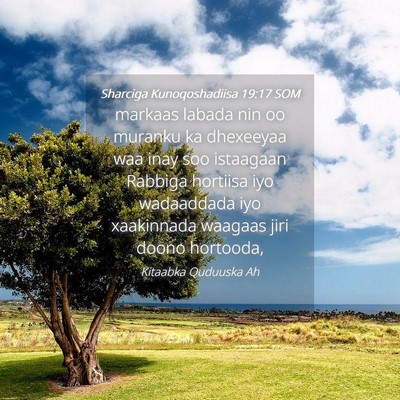 Picture 04 - Sharciga Kunoqoshadiisa 19:17 SOM - markaas labada nin oo muranku ka dhexeeyaa waa - Bible Verse Picture