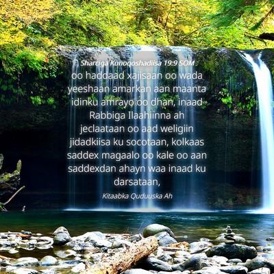 Picture 04 - Sharciga Kunoqoshadiisa 19:9 SOM - oo haddaad xajisaan oo wada yeeshaan amarkan aan - Bible Verse Picture