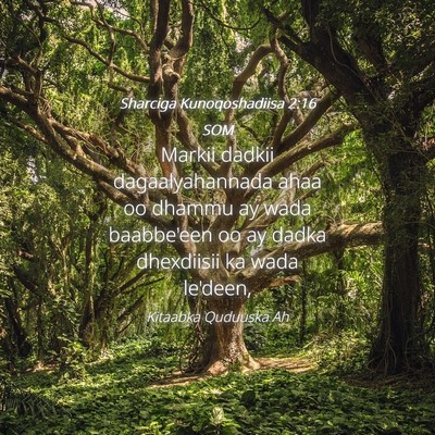Picture 04 - Sharciga Kunoqoshadiisa 2:16 SOM - Markii dadkii dagaalyahannada ahaa oo dhammu ay - Bible Verse Picture