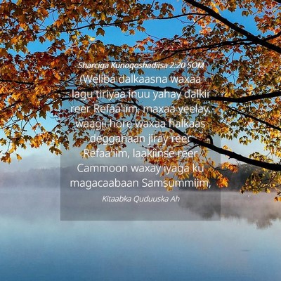 Picture 04 - Sharciga Kunoqoshadiisa 2:20 SOM - (Weliba dalkaasna waxaa lagu tiriyaa inuu yahay - Bible Verse Picture