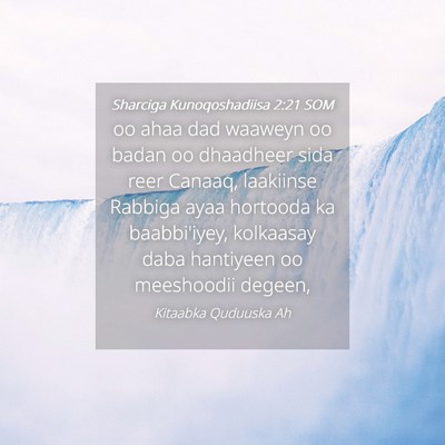 Picture 04 - Sharciga Kunoqoshadiisa 2:21 SOM - oo ahaa dad waaweyn oo badan oo dhaadheer sida - Bible Verse Picture