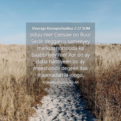 Picture 04 - Sharciga Kunoqoshadiisa 2:22 SOM - siduu reer Ceesaw oo Buur Seciir deggan u - Bible Verse Picture