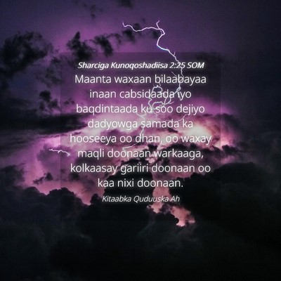 Picture 04 - Sharciga Kunoqoshadiisa 2:25 SOM - Maanta waxaan bilaabayaa inaan cabsidaada iyo - Bible Verse Picture