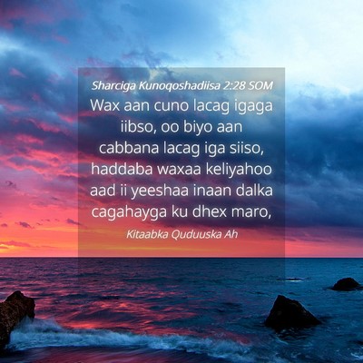 Picture 04 - Sharciga Kunoqoshadiisa 2:28 SOM - Wax aan cuno lacag igaga iibso, oo biyo aan - Bible Verse Picture