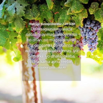 Picture 04 - Sharciga Kunoqoshadiisa 2:34 SOM - Oo waagaasaynu wada qabsannay magaalooyinkiisii - Bible Verse Picture