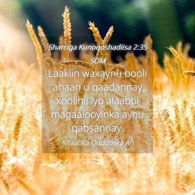 Picture 04 - Sharciga Kunoqoshadiisa 2:35 SOM - Laakiin waxaynu booli ahaan u qaadannay xoolihii - Bible Verse Picture