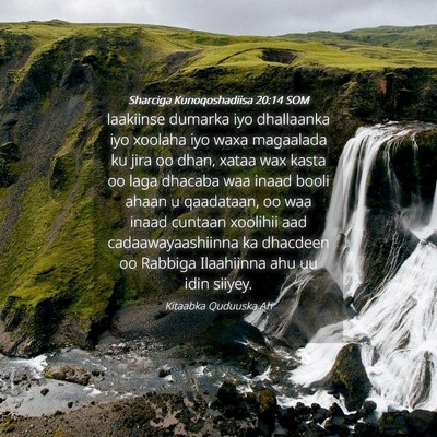 Picture 04 - Sharciga Kunoqoshadiisa 20:14 SOM - laakiinse dumarka iyo dhallaanka iyo xoolaha iyo - Bible Verse Picture