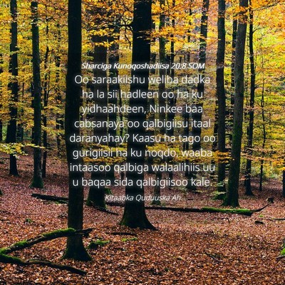Picture 04 - Sharciga Kunoqoshadiisa 20:8 SOM - Oo saraakiishu weliba dadka ha la sii hadleen oo - Bible Verse Picture