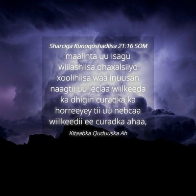 Picture 04 - Sharciga Kunoqoshadiisa 21:16 SOM - maalinta uu isagu wiilashiisa dhaxalsiiyo - Bible Verse Picture