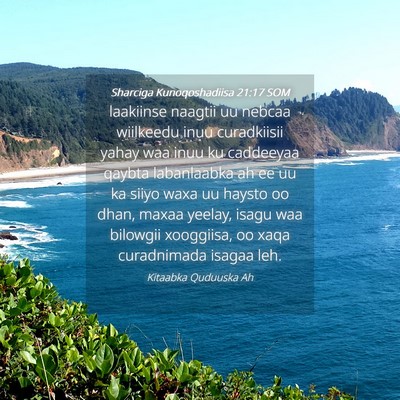 Picture 04 - Sharciga Kunoqoshadiisa 21:17 SOM - laakiinse naagtii uu nebcaa wiilkeedu inuu - Bible Verse Picture