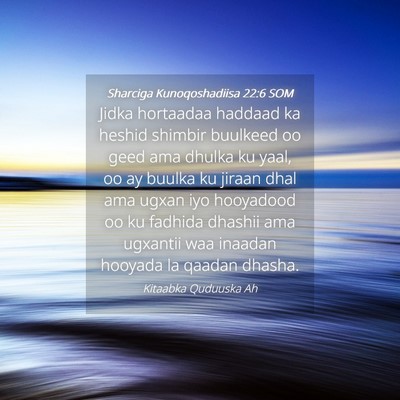 Picture 04 - Sharciga Kunoqoshadiisa 22:6 SOM - Jidka hortaadaa haddaad ka heshid shimbir - Bible Verse Picture