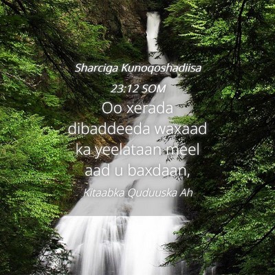 Picture 04 - Sharciga Kunoqoshadiisa 23:12 SOM - Oo xerada dibaddeeda waxaad ka yeelataan meel aad - Bible Verse Picture