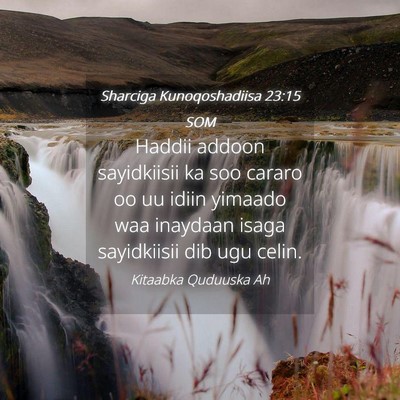 Picture 04 - Sharciga Kunoqoshadiisa 23:15 SOM - Haddii addoon sayidkiisii ka soo cararo oo uu - Bible Verse Picture