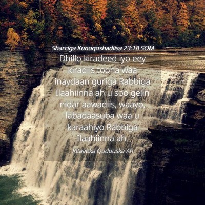 Picture 04 - Sharciga Kunoqoshadiisa 23:18 SOM - Dhillo kiradeed iyo eey kiradiis toona waa - Bible Verse Picture