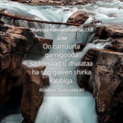 Picture 04 - Sharciga Kunoqoshadiisa 23:8 SOM - Oo carruurta qarnigooda saddexaad u dhalataa ha - Bible Verse Picture