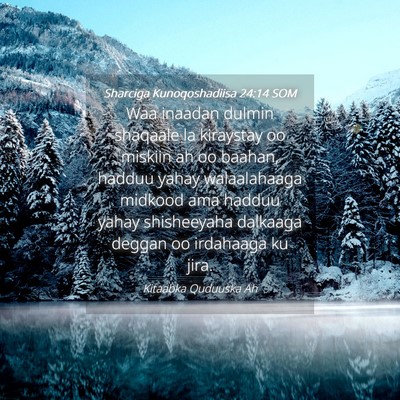 Picture 04 - Sharciga Kunoqoshadiisa 24:14 SOM - Waa inaadan dulmin shaqaale la kiraystay oo - Bible Verse Picture