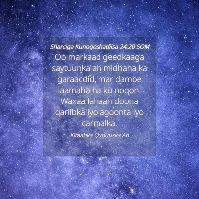 Picture 04 - Sharciga Kunoqoshadiisa 24:20 SOM - Oo markaad geedkaaga saytuunka ah midhaha ka - Bible Verse Picture