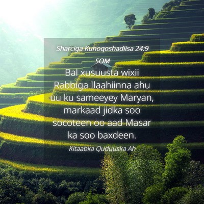 Picture 04 - Sharciga Kunoqoshadiisa 24:9 SOM - Bal xusuusta wixii Rabbiga Ilaahiinna ahu uu ku - Bible Verse Picture