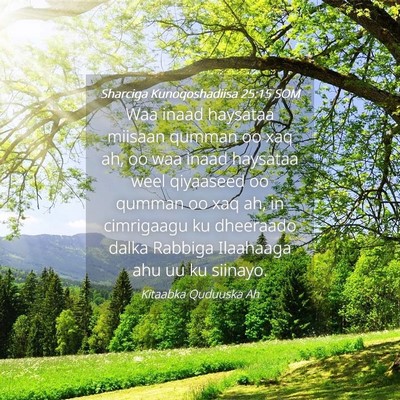 Picture 04 - Sharciga Kunoqoshadiisa 25:15 SOM - Waa inaad haysataa miisaan qumman oo xaq ah, oo - Bible Verse Picture