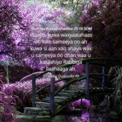 Picture 04 - Sharciga Kunoqoshadiisa 25:16 SOM - Waayo, kuwa waxyaalahaas oo kale sameeya oo ah - Bible Verse Picture