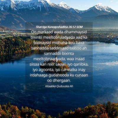 Picture 04 - Sharciga Kunoqoshadiisa 26:12 SOM - Oo markaad wada dhammaysid bixintii - Bible Verse Picture