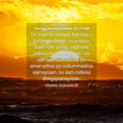 Picture 04 - Sharciga Kunoqoshadiisa 26:17 SOM - Oo maanta waxaad Rabbiga u ballanqaaddeen inuu - Bible Verse Picture