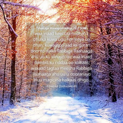 Picture 04 - Sharciga Kunoqoshadiisa 26:2 SOM - waa inaad keentaa midhaha dhulka kuwa ugu - Bible Verse Picture