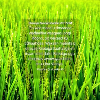 Picture 04 - Sharciga Kunoqoshadiisa 26:3 SOM - Oo waa inaad u timaadaa wadaadka waagaas joogi - Bible Verse Picture