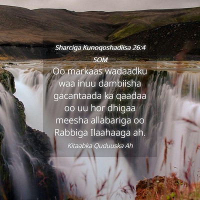 Picture 04 - Sharciga Kunoqoshadiisa 26:4 SOM - Oo markaas wadaadku waa inuu dambiisha gacantaada - Bible Verse Picture
