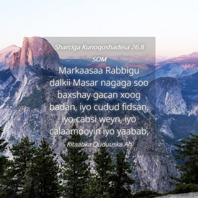 Picture 04 - Sharciga Kunoqoshadiisa 26:8 SOM - Markaasaa Rabbigu dalkii Masar nagaga soo baxshay - Bible Verse Picture