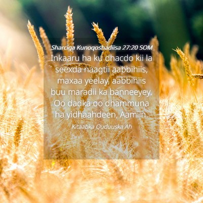 Picture 04 - Sharciga Kunoqoshadiisa 27:20 SOM - Inkaaru ha ku dhacdo kii la seexda naagtii - Bible Verse Picture