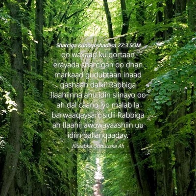Picture 04 - Sharciga Kunoqoshadiisa 27:3 SOM - oo waxaad ku qortaan erayada sharcigan oo dhan - Bible Verse Picture